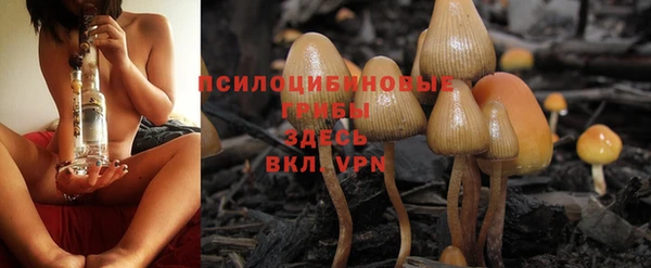гидропоника Белокуриха