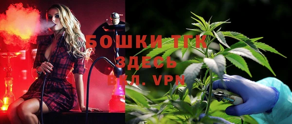молекула духа Балабаново